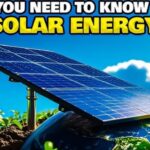 Clean Energy and Green Technologies: Trends to Watch in 2025